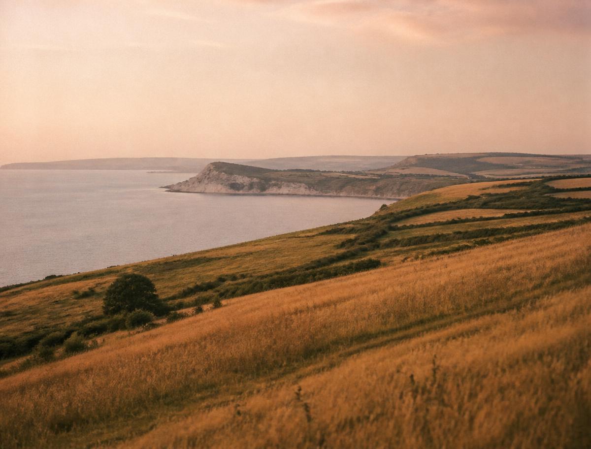 The Dorset coastline at golden hour